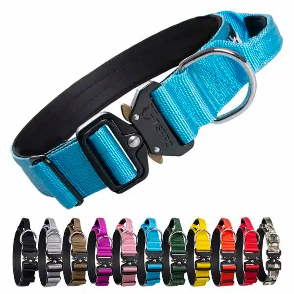 Best Dog Collars For Large Dogs Top Picks For Comfort And Durability