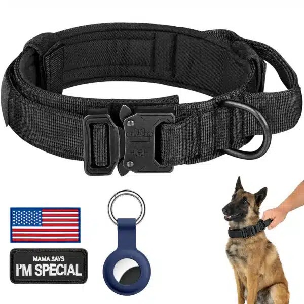 Best Dog Collars For Large Dogs Top Picks For Comfort And Durability