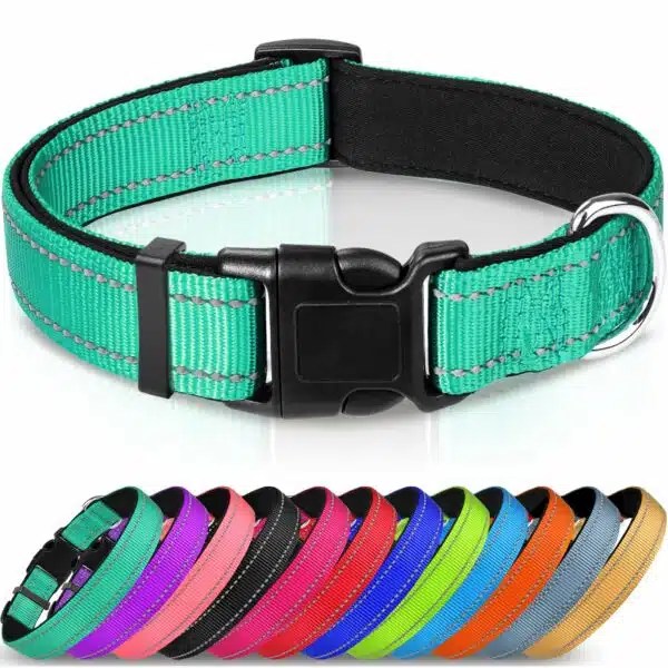 Best Dog Collars For Large Dogs Top Picks For Comfort And Durability
