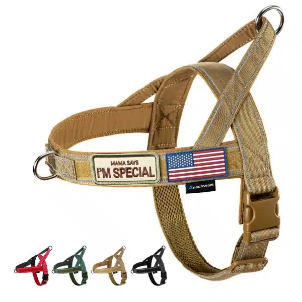 Best Dog Harness For Medium Dogs Top Picks For Comfort And Control