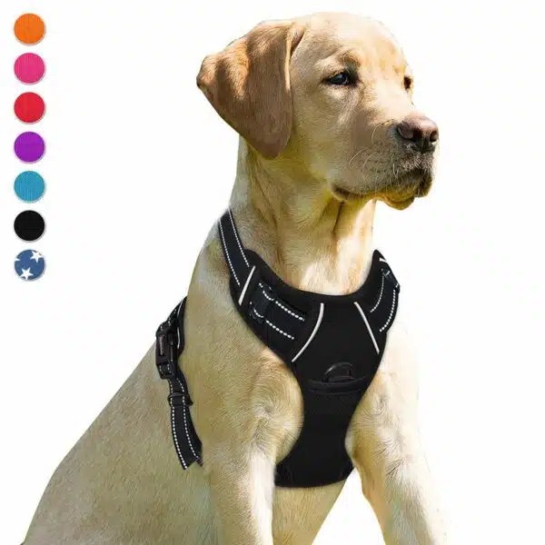 Best Dog Harness For Medium Dogs Top Picks For Comfort And Control Alpha Paw