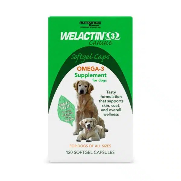 Best Omega 3 For Dogs Top Picks For Optimal Health Alpha Paw