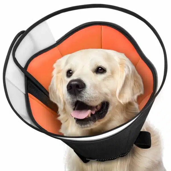 Best Cone For Dogs Top 5 Options For Comfortable Healing Alpha Paw