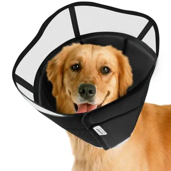 Best Cone For Dogs Top 5 Options For Comfortable Healing Alpha Paw