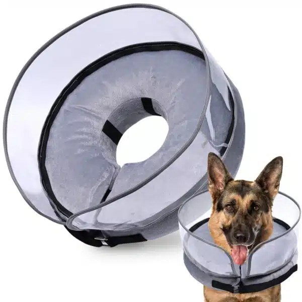 Best Cone For Dogs Top 5 Options For Comfortable Healing Alpha Paw