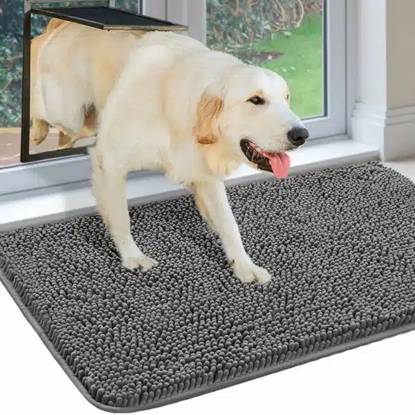 Best Rugs For Dogs Top Picks For PetFriendly Homes Alpha Paw