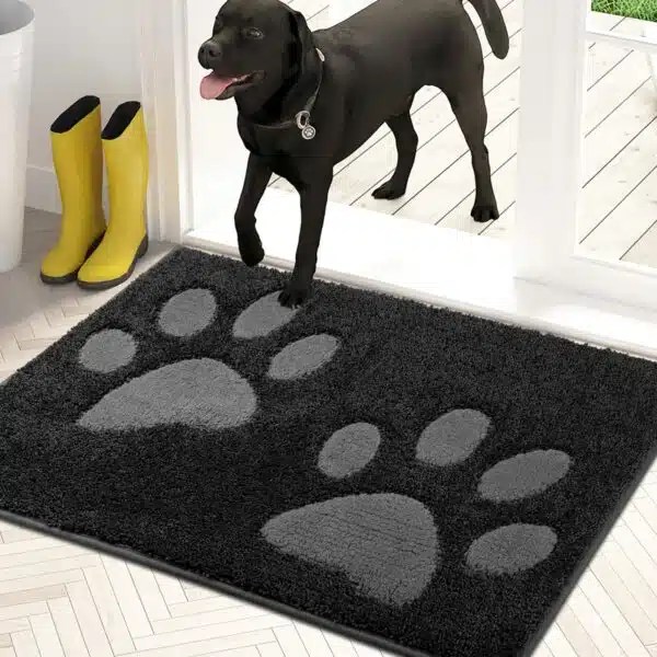 Best Rugs For Dogs Top Picks For PetFriendly Homes Alpha Paw