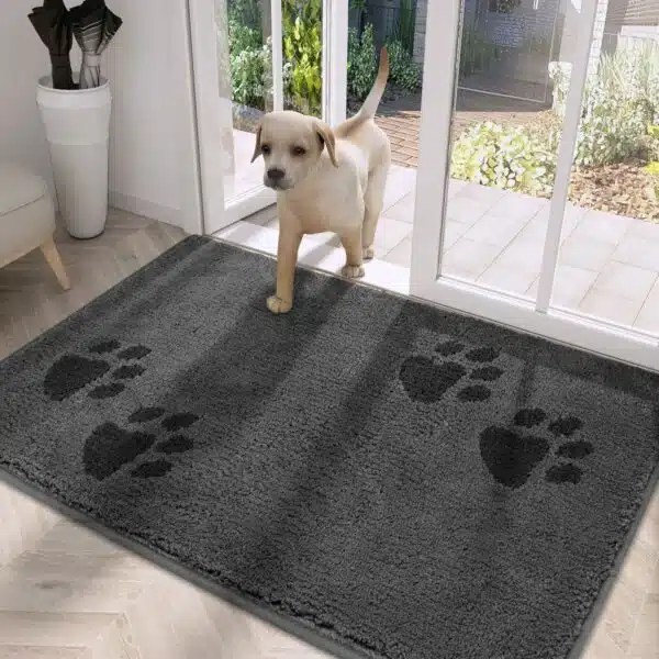 Best Rugs For Dogs Top Picks For PetFriendly Homes Alpha Paw