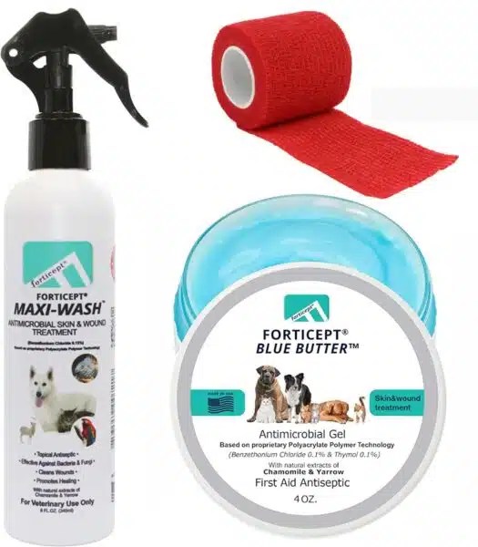 Best Hot Spot Treatment For Dogs Top Picks For Quick Relief Alpha Paw