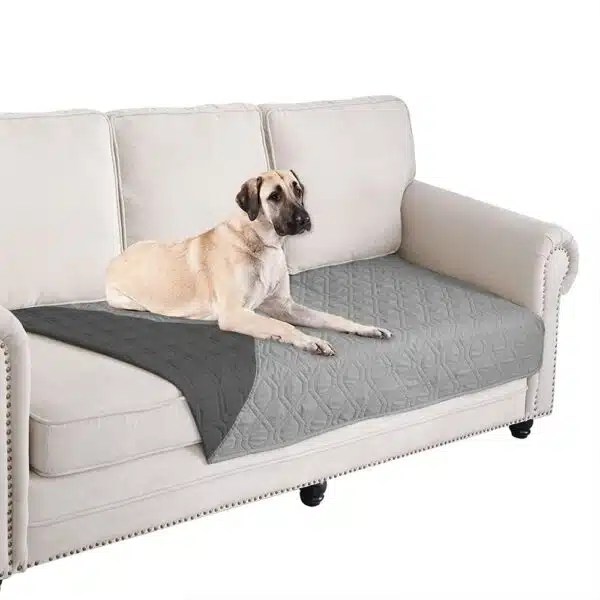 Best Couch Covers For Dogs Protect Your Furniture From Pet Hair And Scratches Alpha Paw