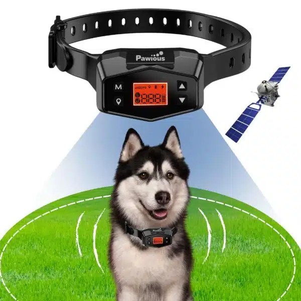 Best Wireless Fence For Dogs Top Picks For 2023 Alpha Paw