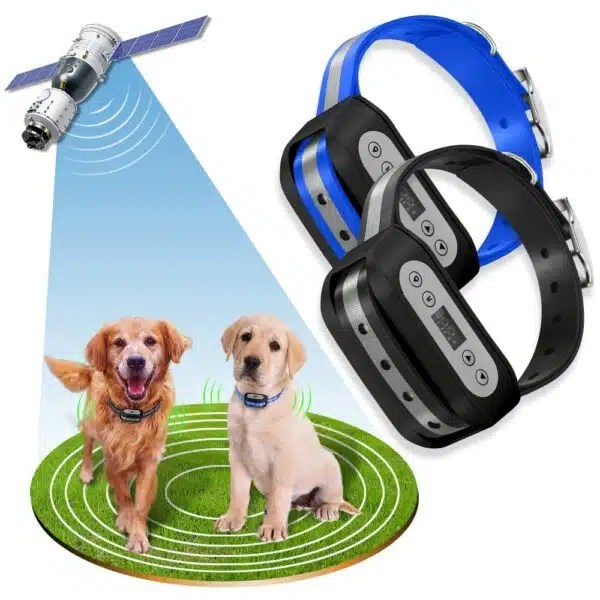 Best Wireless Fence For Dogs Top Picks For 2023 Alpha Paw