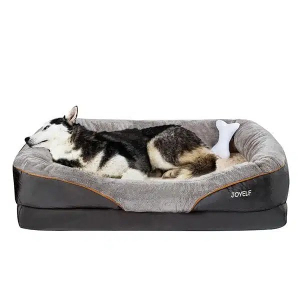 Best Sofas For Dogs Comfortable And Durable Options For Your Furry