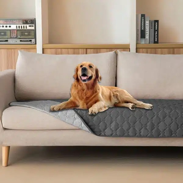 Best Couch Covers For Dogs Protect Your Furniture From Pet Hair And Scratches Alpha Paw
