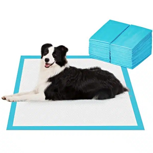 Best Pee Pads For Dogs Top 10 Picks For 2023 Alpha Paw