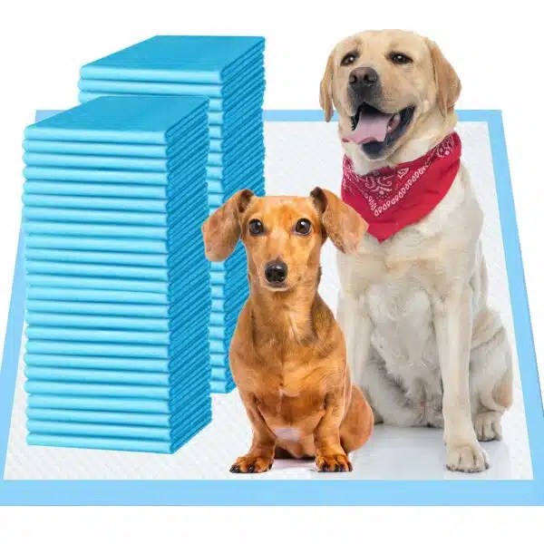 Best Pee Pads For Dogs Top 10 Picks For 2023 Alpha Paw
