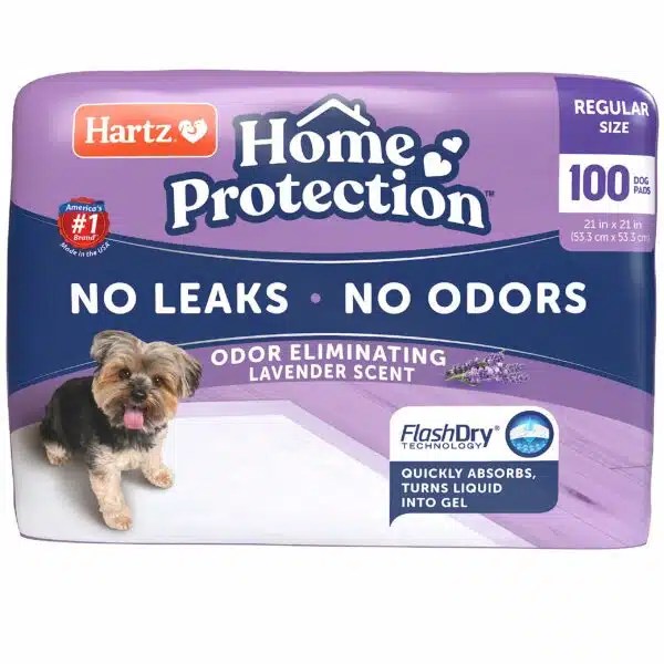 Best Pee Pads For Dogs Top 10 Picks For 2023 Alpha Paw