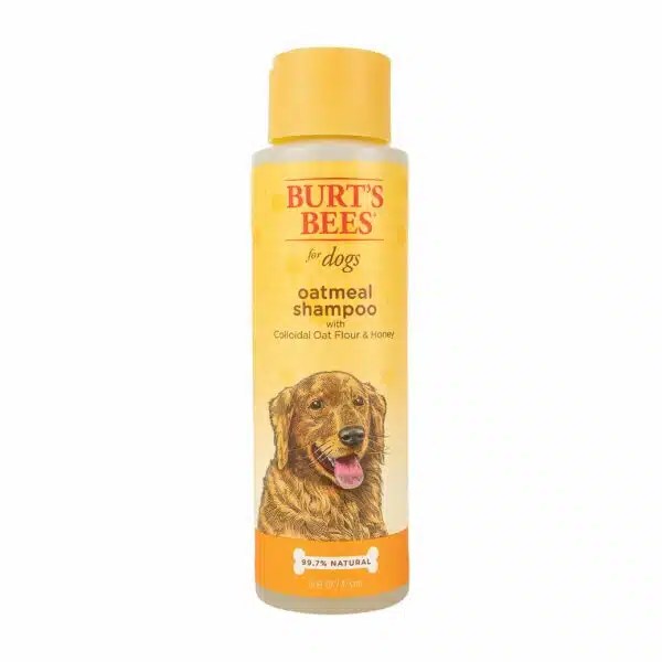 Best Oatmeal Shampoo For Dogs Top Picks For A Soothing Bath Alpha Paw