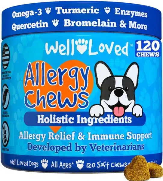 Best Allergy Medicine For Dogs With Itchy Skin Top Picks For 2023