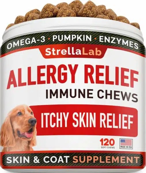 Best Allergy Medicine For Dogs With Itchy Skin Top Picks For 2023