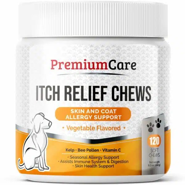 Best Allergy Medicine For Dogs With Itchy Skin Top Picks For 2023