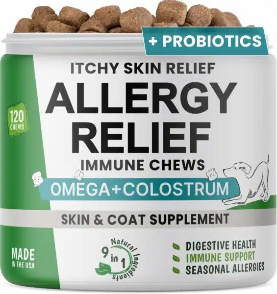 Best Allergy Medicine For Dogs With Itchy Skin Top Picks For 2023