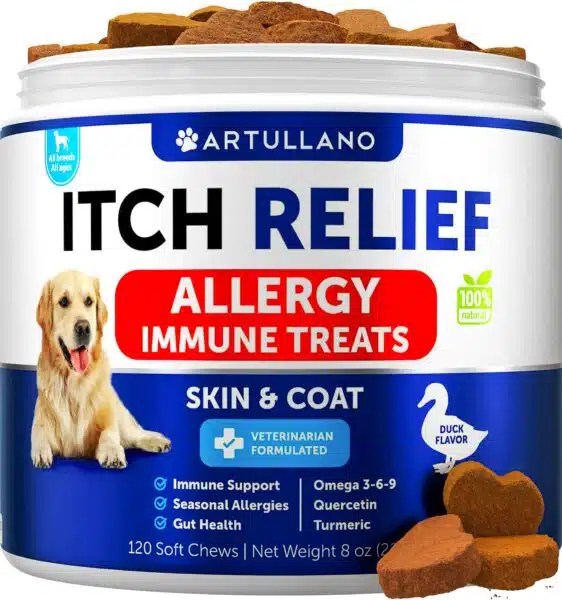 Best Allergy Medicine For Dogs With Itchy Skin Top Picks For 2023