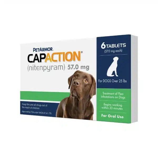 Best OTC Flea Treatment For Dogs In 2023 Alpha Paw