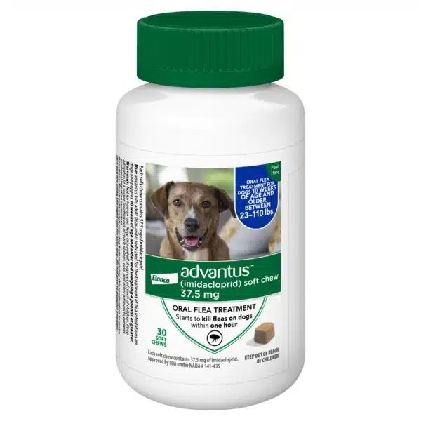 Best OTC Flea Treatment For Dogs In 2023 Alpha Paw