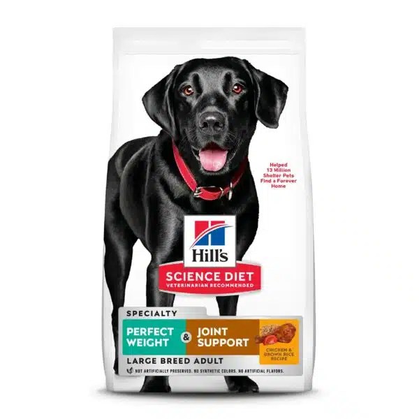 Best Weight Loss Food For Dogs Top Picks And Tips Alpha Paw