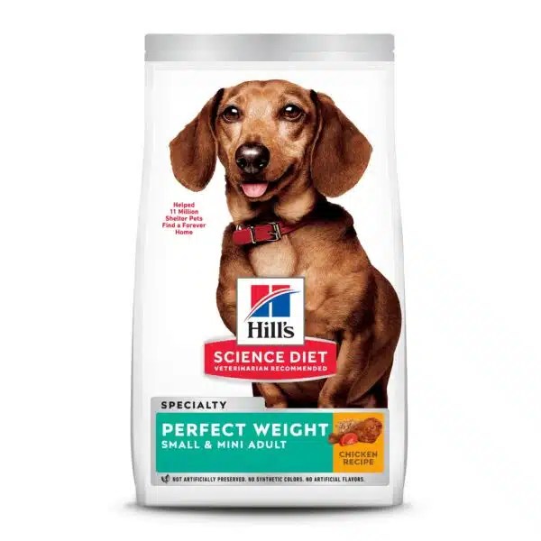 Best Weight Loss Food For Dogs Top Picks And Tips Alpha Paw
