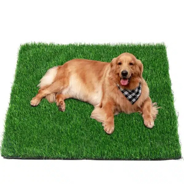 Best Artificial Grass For Dogs Top Picks For A Durable, Safe, And Low