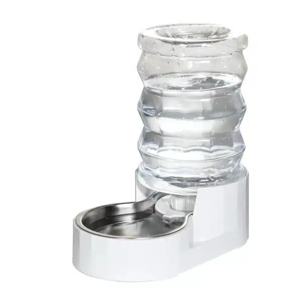Best Water Bowl For Dogs Top Picks For Hydration And Healthy Eating