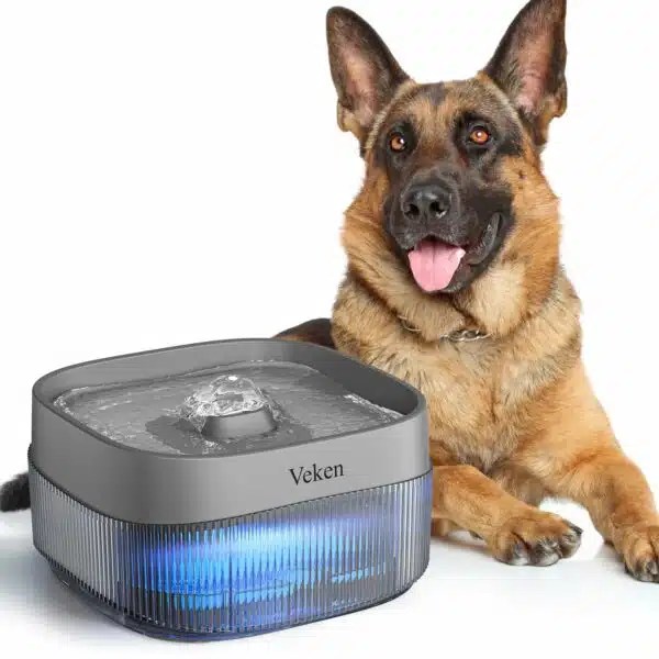 Best Water Bowl For Dogs Top Picks For Hydration And Healthy Eating