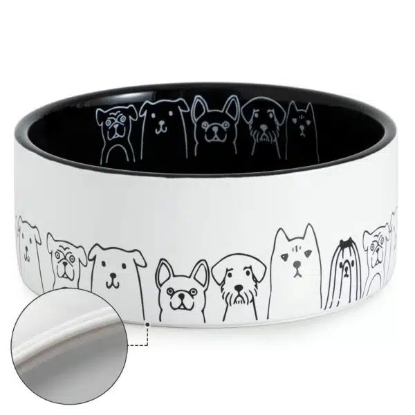 Best Water Bowl For Dogs Top Picks For Hydration And Healthy Eating Alpha Paw