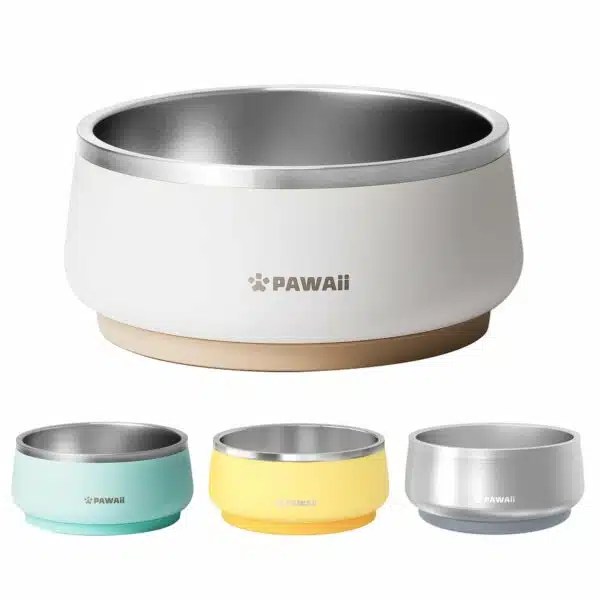 Best Water Bowl For Dogs Top Picks For Hydration And Healthy Eating