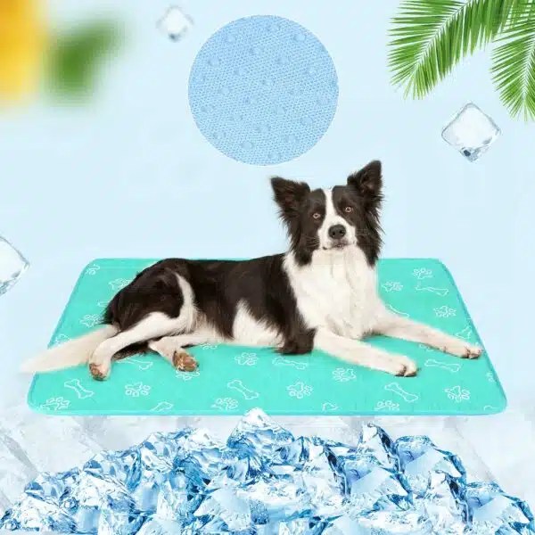 Best Cooling Mat For Dogs Top Picks For Keeping Your Canine Cool