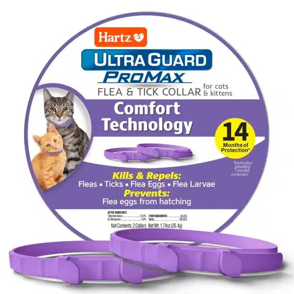 Best Flea Collar For Cats Top 8 Picks In 2023 Alpha Paw
