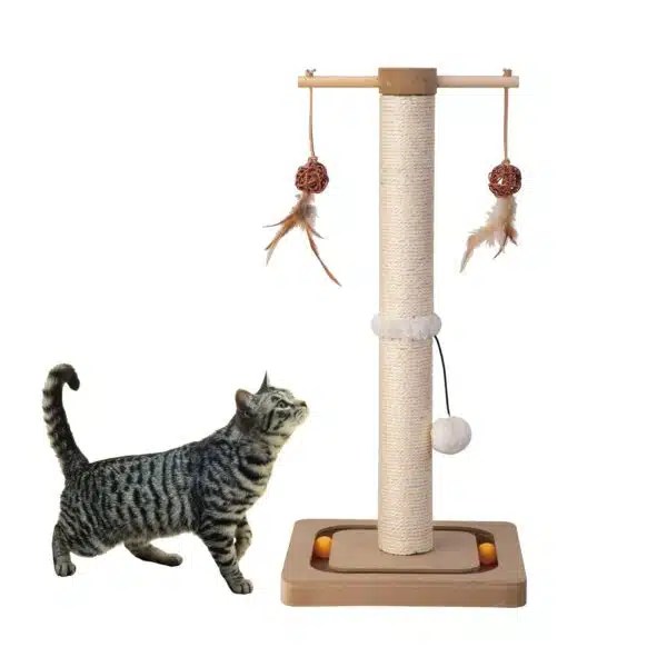 Best Scratching Post For Cats Top Picks For 2023 Alpha Paw