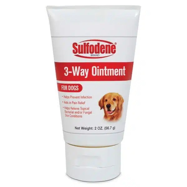 Best Antibiotic Ointment For Dogs Top Picks For Wound Healing Alpha Paw