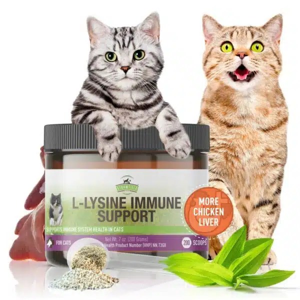 Best Allergy Medicine For Cats Top Picks For Feline Allergies In 2023