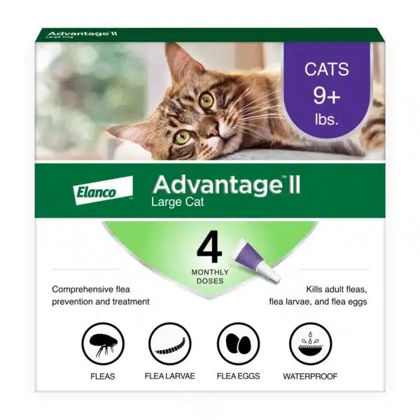 Best Flea And Tick Treatment For Cats In 2023 Alpha Paw