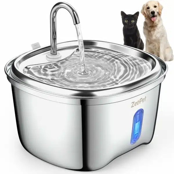 Best Dog Water Fountain Top Picks For 2023 Alpha Paw