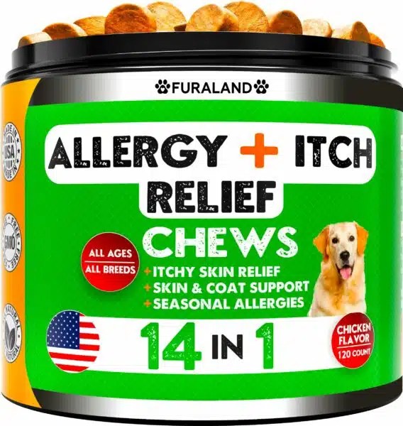 Best Dog Food For Allergies And Yeast Infections Top Picks For Optimal