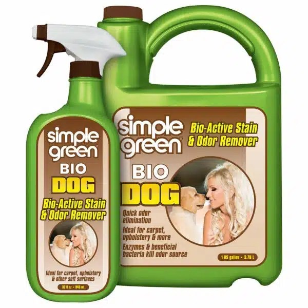 Best Carpet Cleaner For Dog Urine Top Picks For Effective Stain