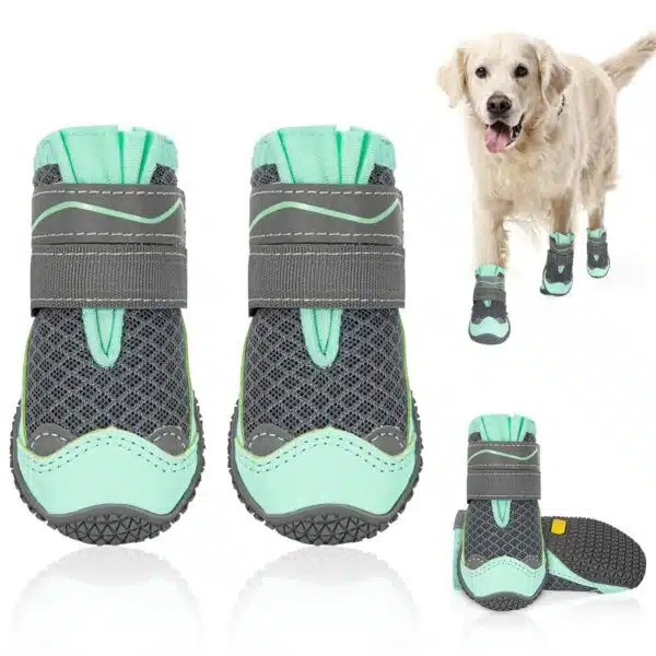 Best Dog Booties For All Seasons Alpha Paw
