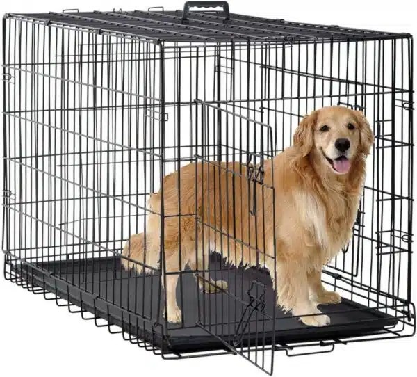 Best Dog Kennel Top 10 Options For Your Furry Friend Alpha Paw