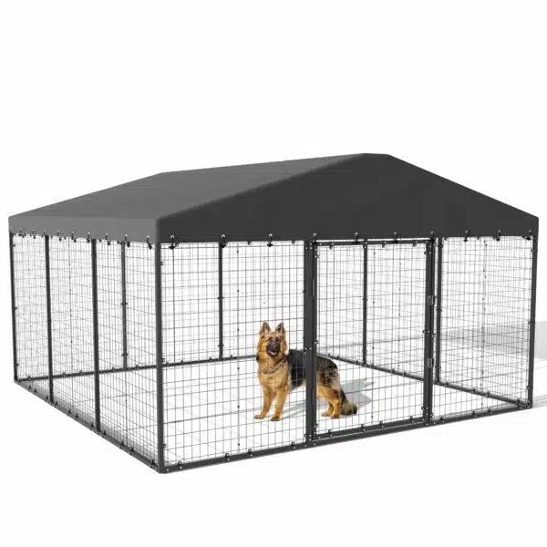 Best Dog Kennel Top 10 Options For Your Furry Friend Alpha Paw