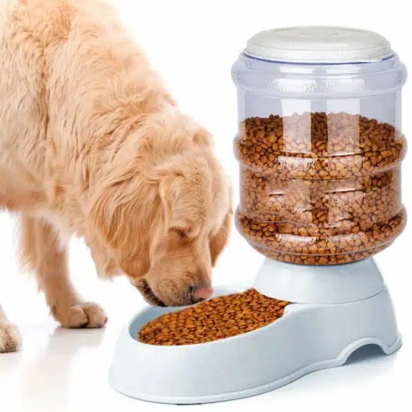 Best Automatic Dog Feeder For Large Dogs Top Picks For 2023 Alpha Paw
