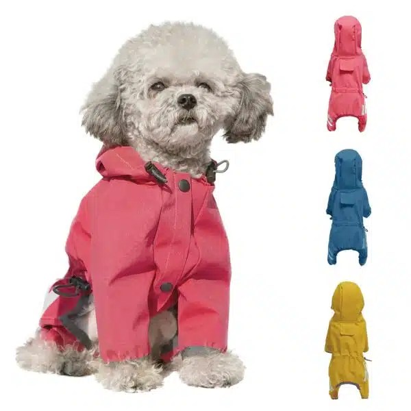 Best Dog Raincoat Top Picks For Keeping Your Pup Dry In The Rain